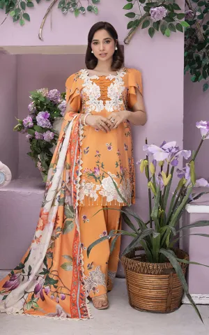 ASIFA & NABEEL | GULBAGH WINTER'23 | ZAROON (GBW-08)