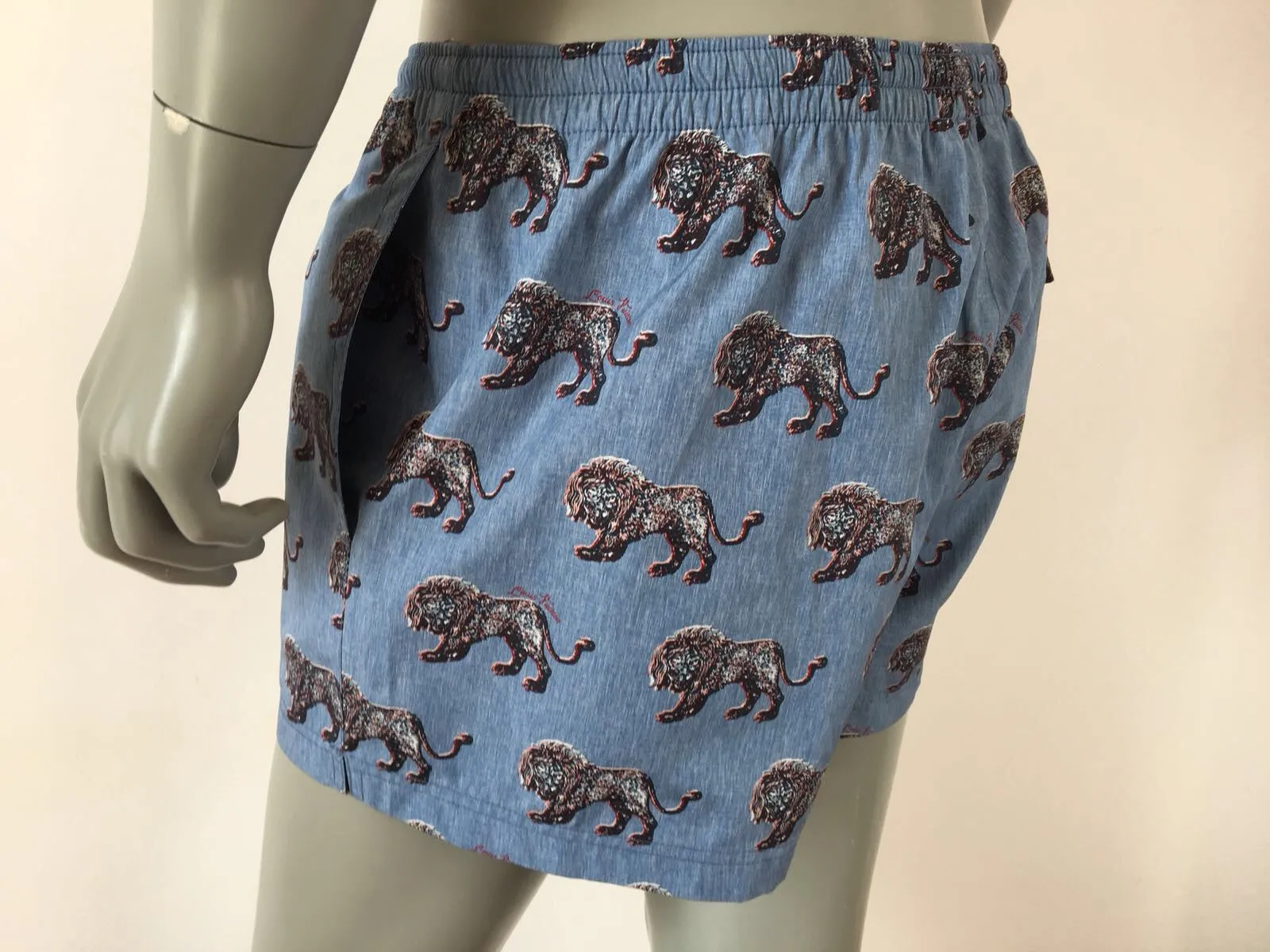 Chapman Lion Swim Shorts