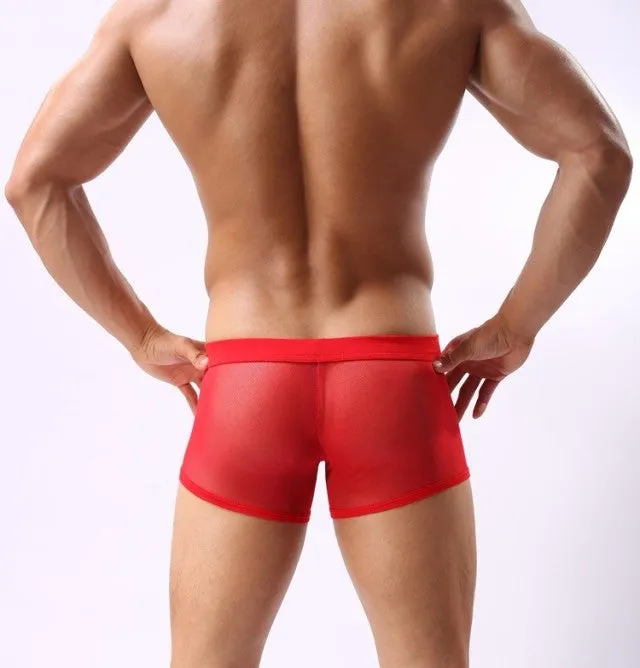 Famous Brand Underwear Men's Boxers Shorts Sexy Gauze Men Panties Sexy Trunks for Men