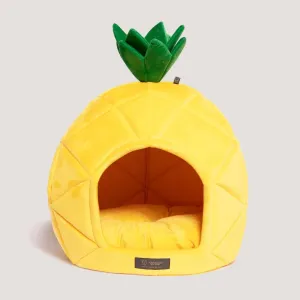 LARGE PINEAPPLE BED