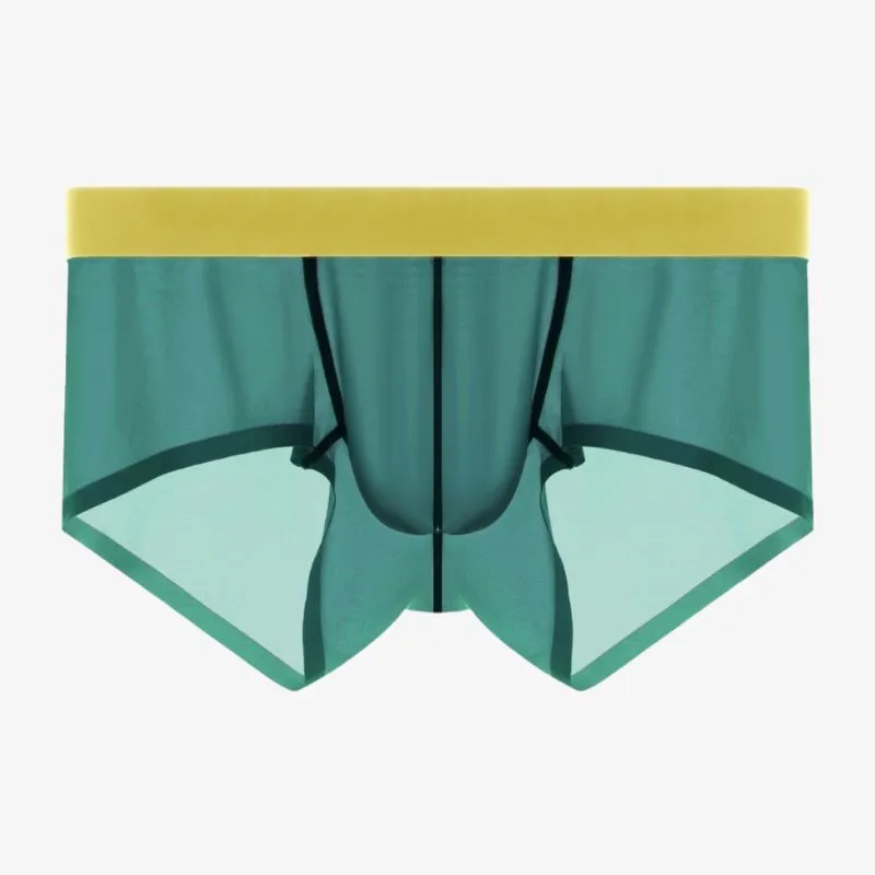 Men's Ultra Thin Ice Silk Low-Rise Underpants (5-Pack) -JEWYEE 810