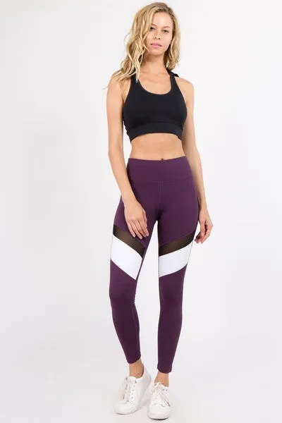 Mesh Colorblock Tight - Purple