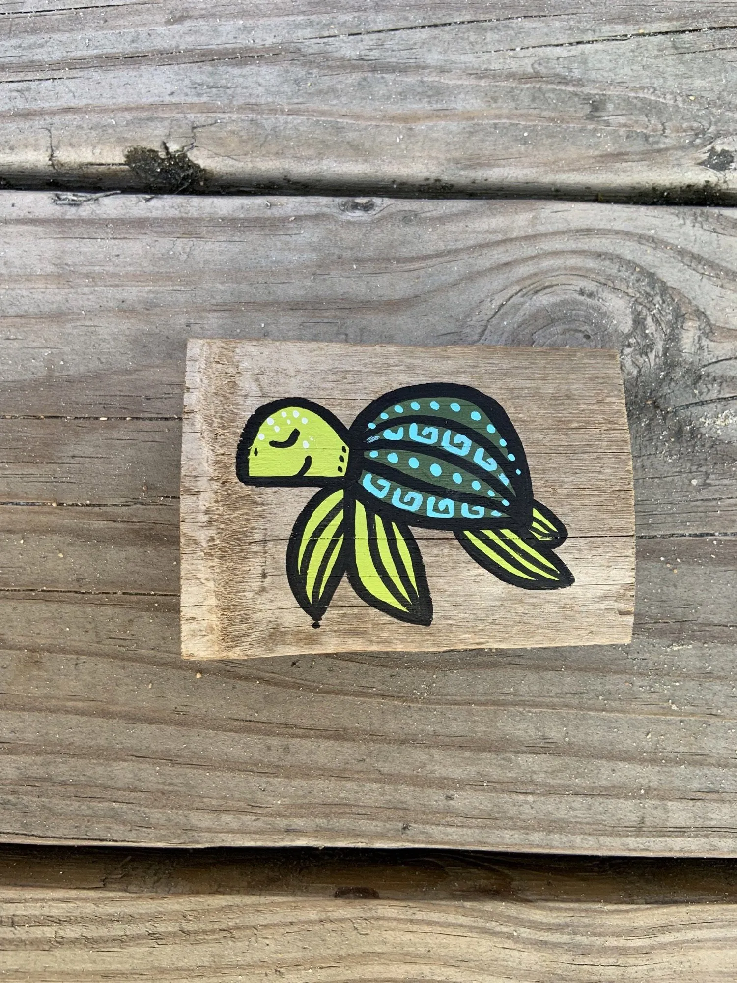Shredsea Hand Made Magnets