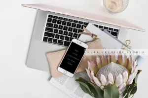 Smartphone, Protea and Laptop
