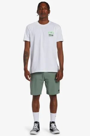 Surftrek Plus Hybrids